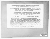 Image Associated With the Occurence